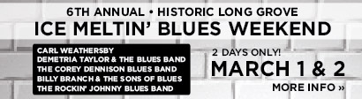 Ice Meltin' Blues Fest 2014