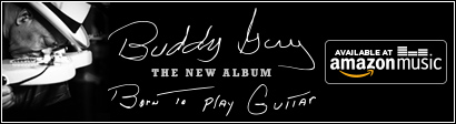 Buddy Guy CD banner