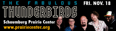 Fabulous Thunderbirds banner