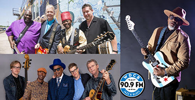 Alligator All-Star Blues Revue 2019