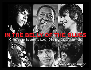 Belly of the Blues book