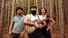 Rev. Peytons Big Damn Band