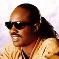 stevie-w-yellow