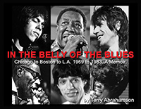 Belly of the Blues book cover