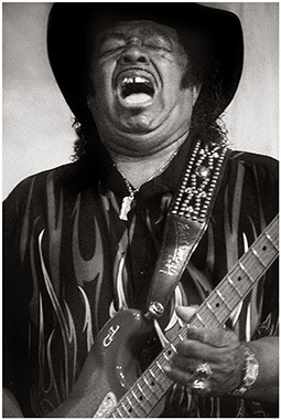 Guitar Shorty by Kurgansky