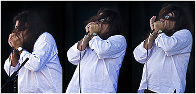 Harper on blues harp