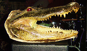 Tab's gator