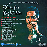 Blues for Big Walter CD art