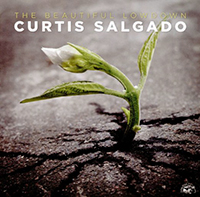 Curtis Salgado CD art