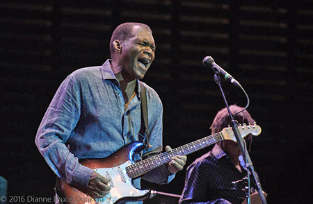 Robert Cray by Dianne